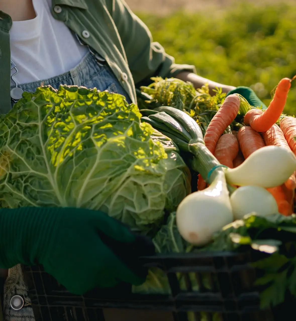 Un retour aux sources