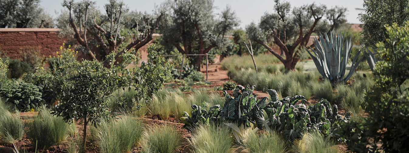 Un lieu d'évasion et de découverte à Marrakech
